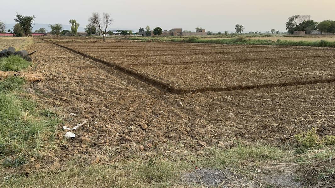 40 Kanal Agricultural Land Chakwal 5