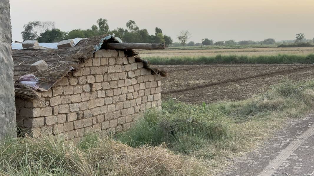 40 Kanal Agricultural Land Chakwal 6