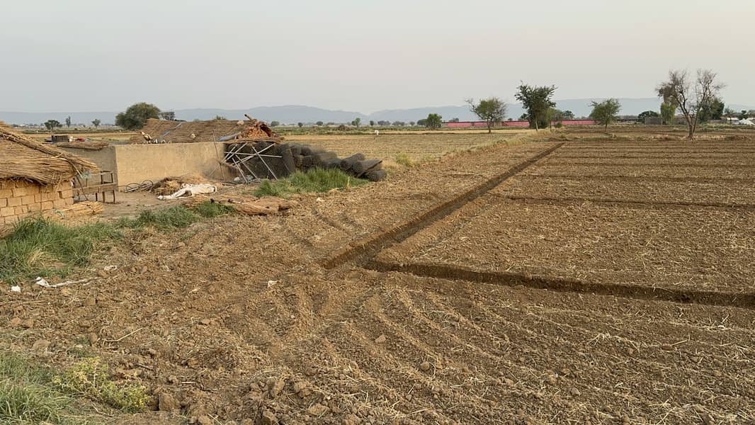 40 Kanal Agricultural Land Chakwal 8