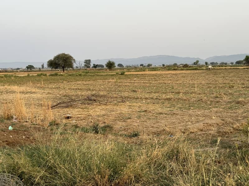 40 Kanal Agricultural Land Chakwal 18