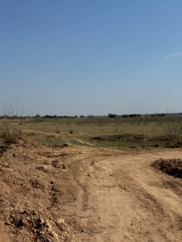 100 Kanal Agricultural Land Neela Dullah Chakwal 0