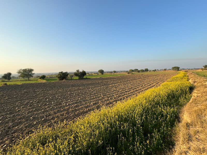 100 Kanal Neela Dullah Chakwal M2 8