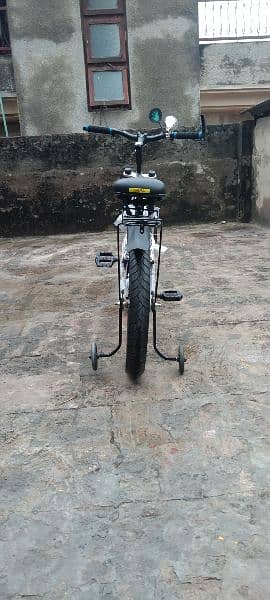 20" cycle 03024666658 4