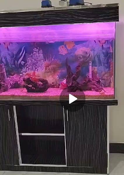 Fish aquarium for sale 1