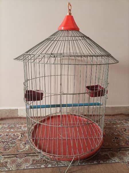 bird cage 1