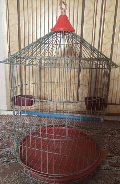 bird cage 2