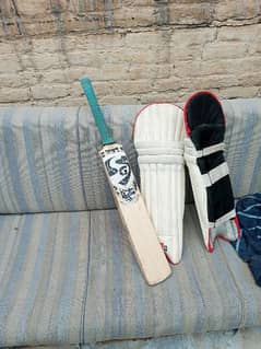 sg white ash Rishabh pant addition+ grey niclos cricket pads