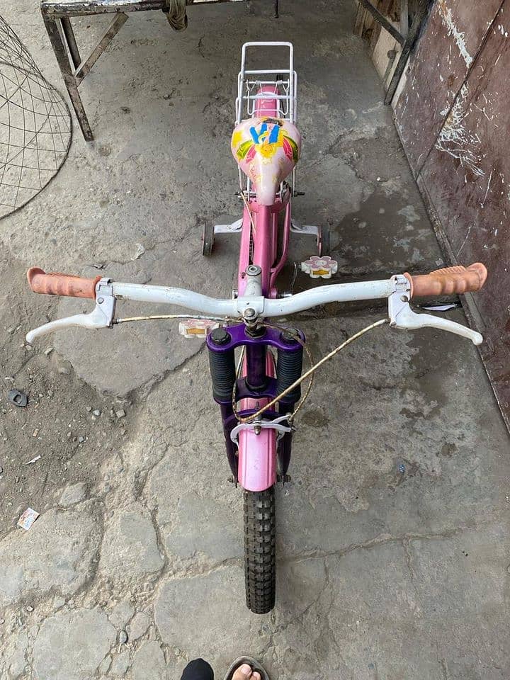 Barbie Bicycle For Sale 4