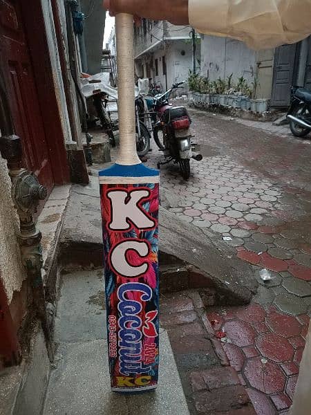 cricket bat 4