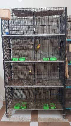 cage for sale 0