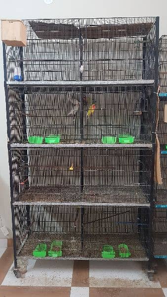 cage for sale 1