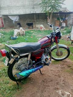 Urgent sell honda 125  2018 model punjab number. original condition