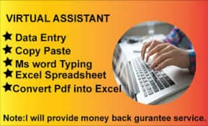 Virtual Assistant, Data entry, CV Maker, Daraz Store manager, Products