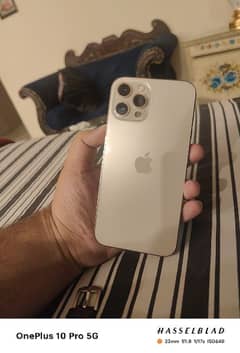 iphone 12 pro max pta approved
