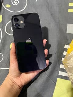 iphone 12 PTA approved