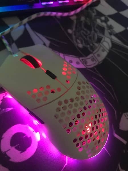 FULL CUSTOMIZABLE RGB PROGRAMABLE WHITE GAMING MOUSE | GLORIOUS MODELO 2