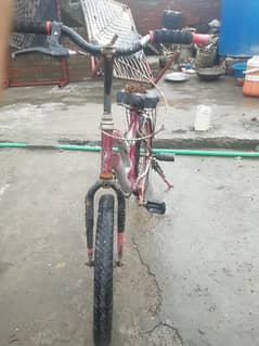 cycle for sale 03254030638