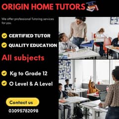 Do You need tutor?