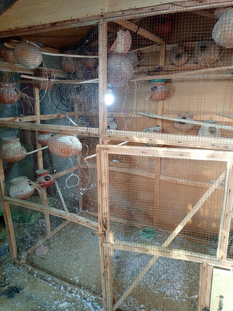 WOODEN CAGE FOR SALE 3