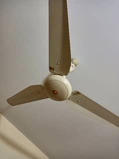 SK ceiling fans 0