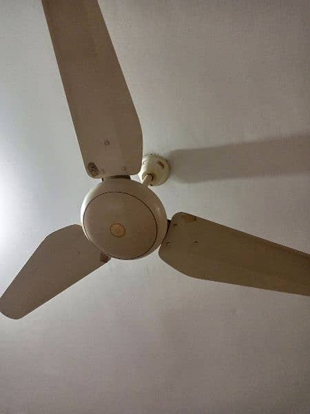 SK ceiling fans 2