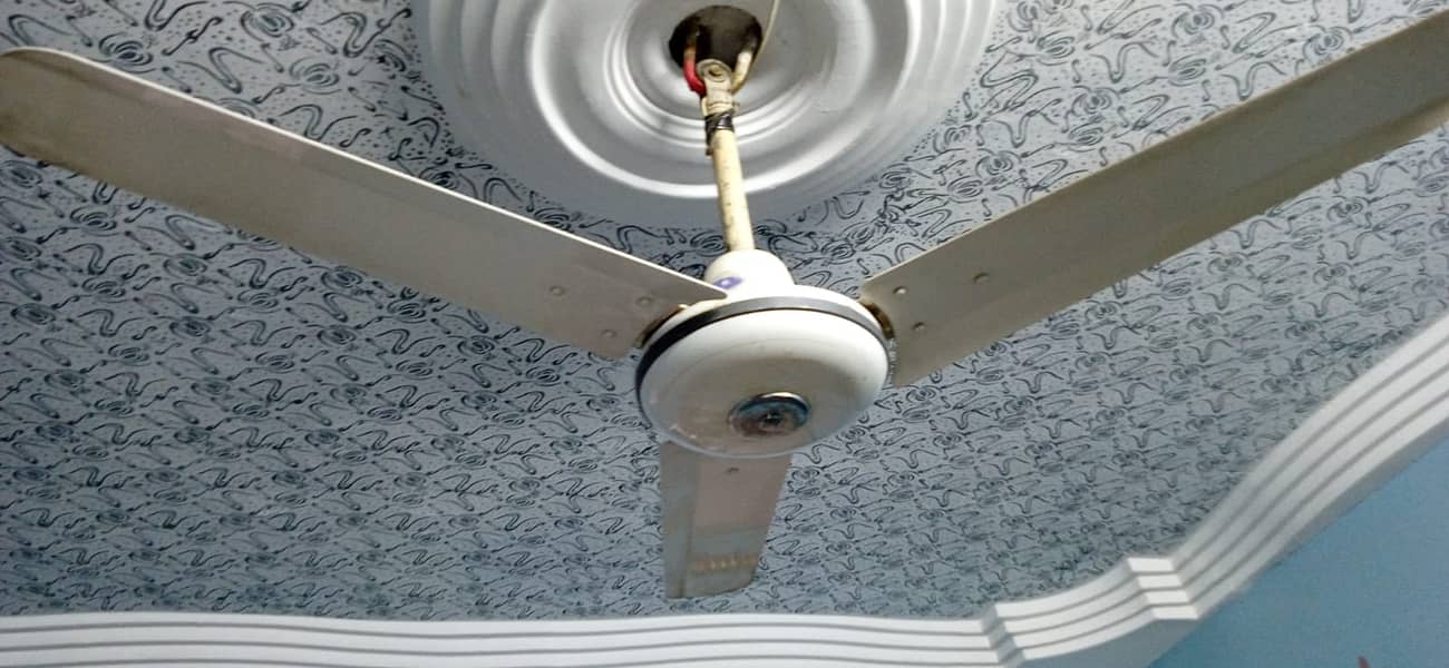 PAK FAN CEILING FAN - White Color 0