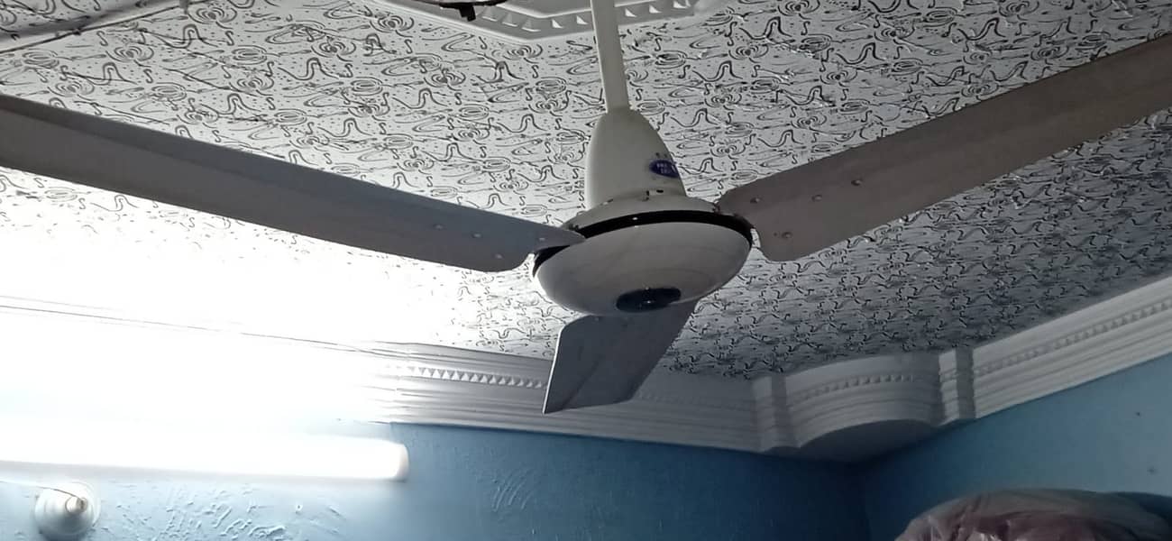 PAK FAN CEILING FAN - White Color 1