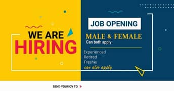 Required male and female for office work 0