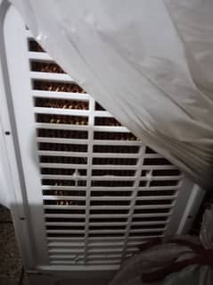 air cooler