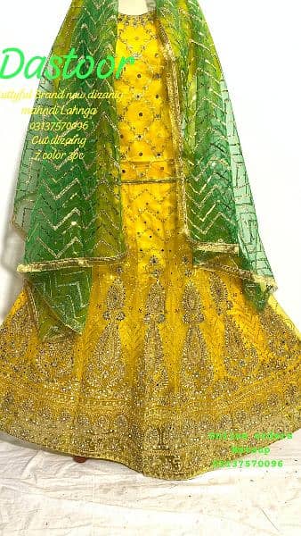 Bridal lehnga / Lehenga / Weeding dress 0