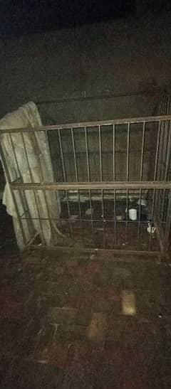 big cage for dogs and other animals