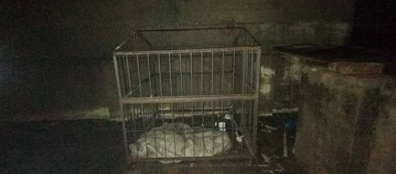 big cage for dogs and other animals 3