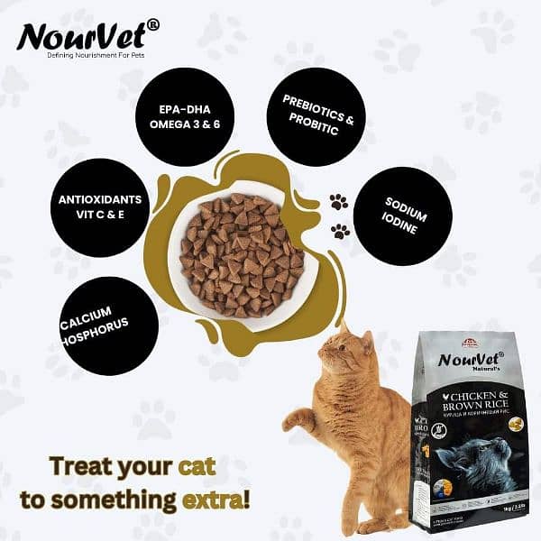 NourVet Cat Food 0