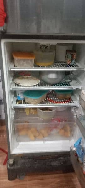 fridge 1