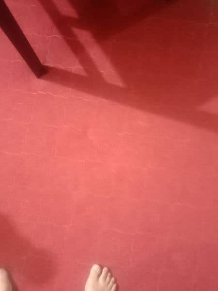 red carpet 0