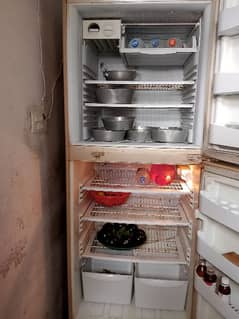fridge xl model pel company