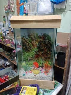 all kinds of Aquariums available 0