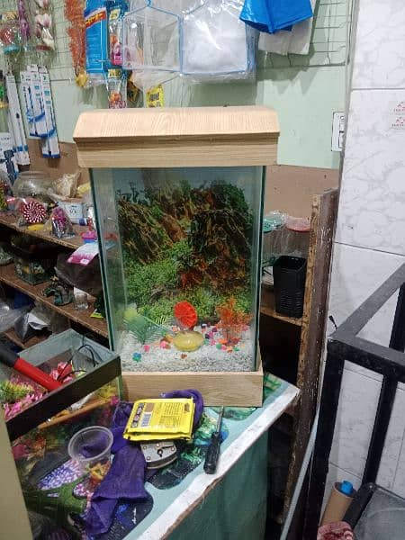 all kinds of Aquariums available 1