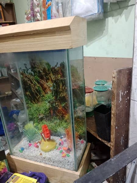 all kinds of Aquariums available 2