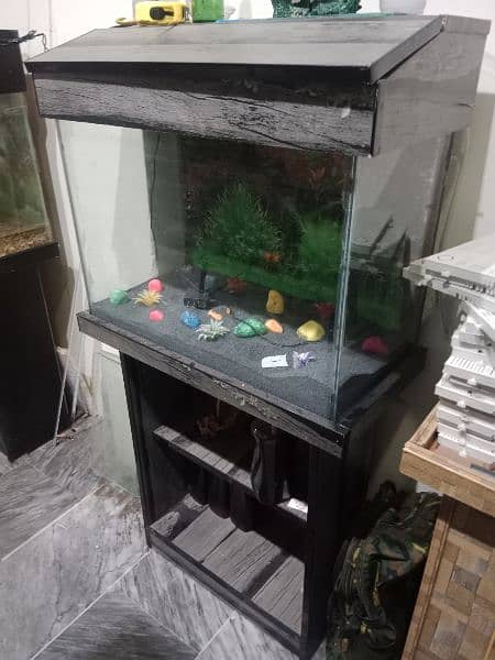 all kinds of Aquariums available 3