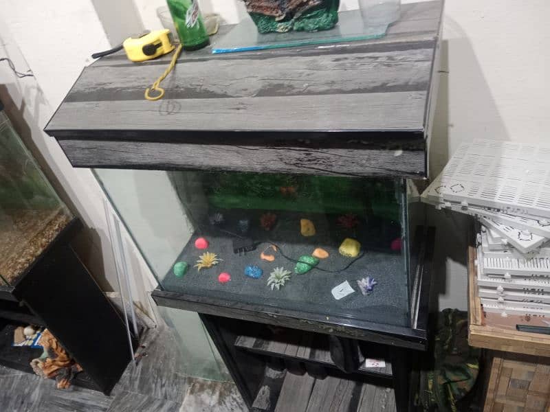 all kinds of Aquariums available 4
