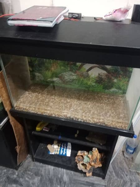 all kinds of Aquariums available 5