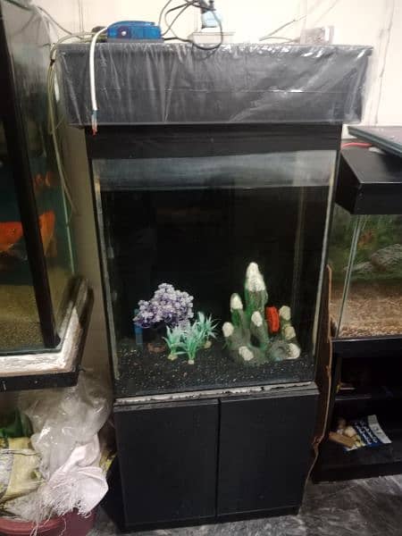 all kinds of Aquariums available 6