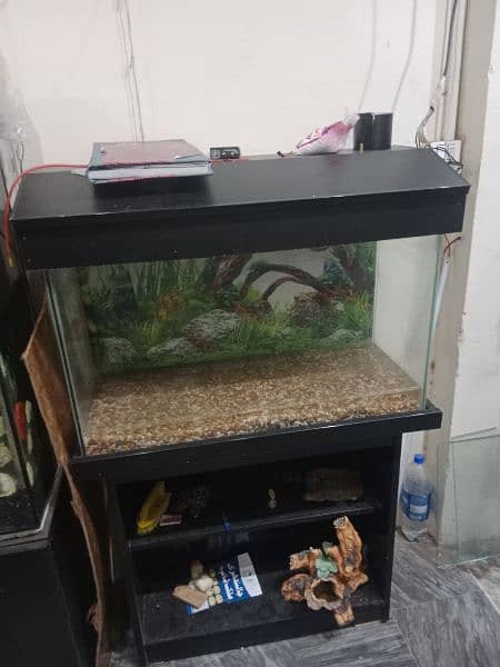 all kinds of Aquariums available 7