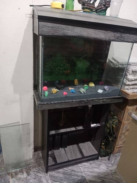 all kinds of Aquariums available 8
