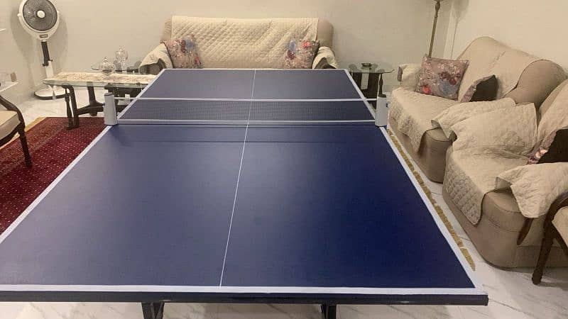 Table tennis table 12