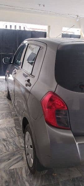 Suzuki cultus lovers 5