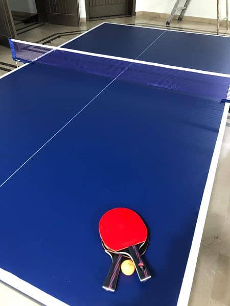 Table tennis table 7