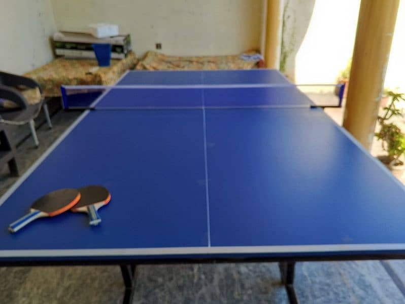Table tennis table 9