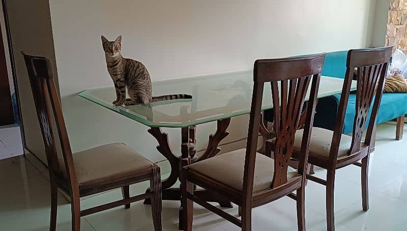 dining table with 6 chairs 0